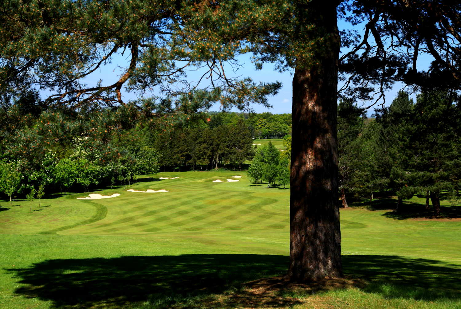 Bruntsfield Links Golf Course in Scotland